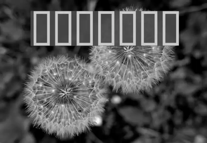 BDBrick Шрифта examples