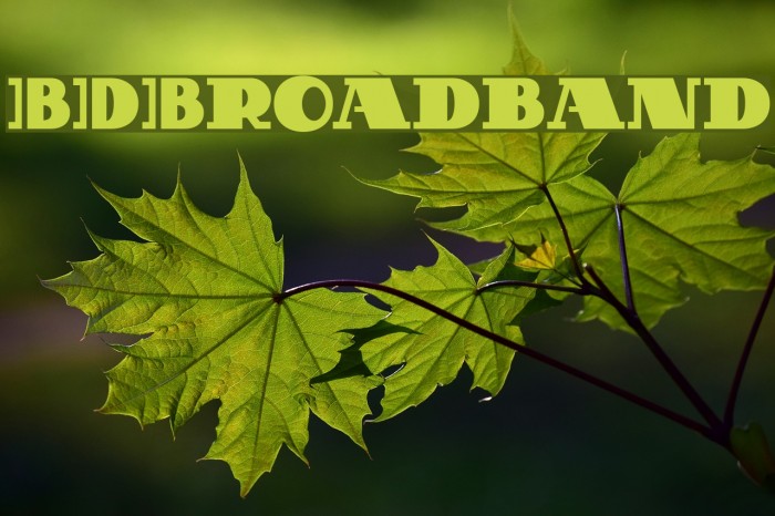 BDBroadband Font examples