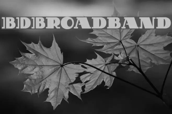 BDBroadband Schriftart examples