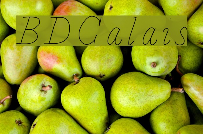 BDCalais Font examples