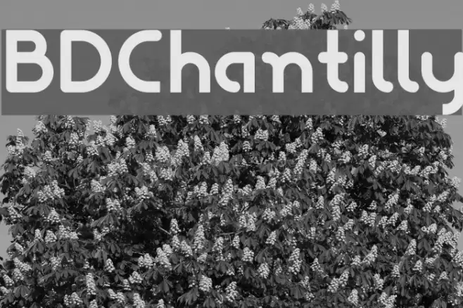 BDChantilly Font examples