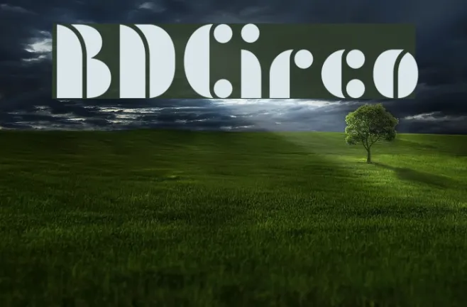BDCirco Example 2
