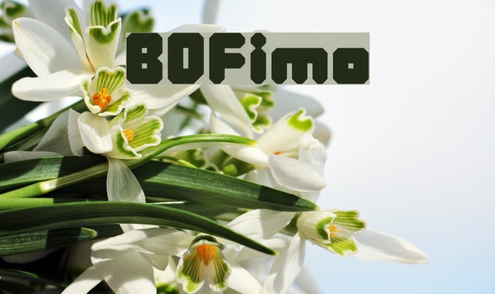 BDFimo Font examples