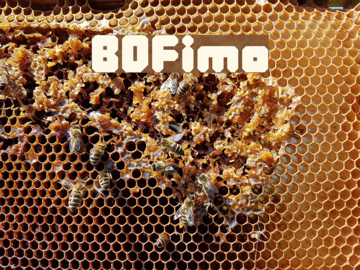 BDFimo Font examples