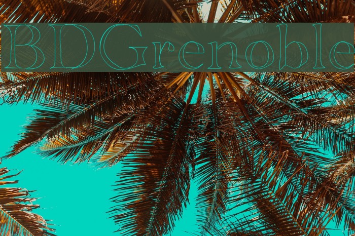 BDGrenoble Font examples