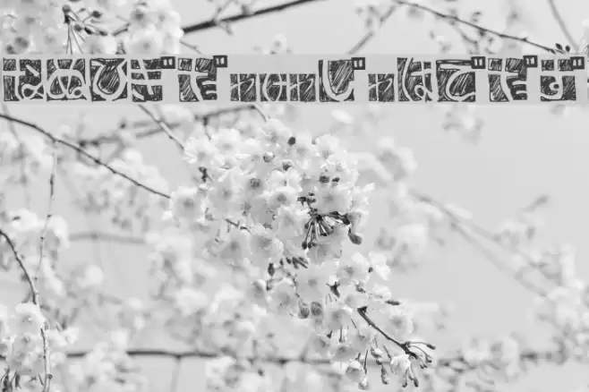 BDHiraganaKuro Font examples