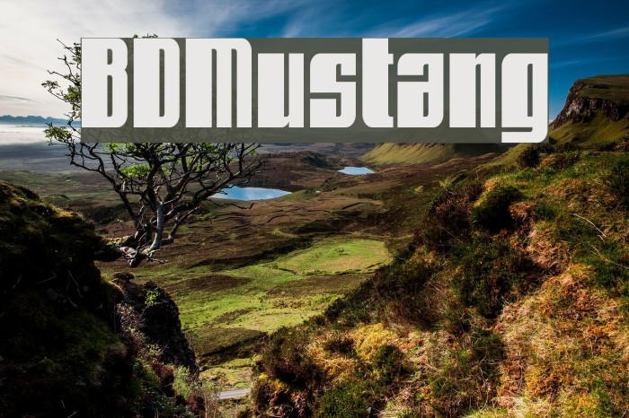 BDMustang Font examples