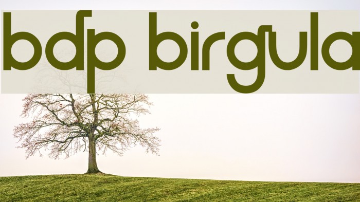 BDP Birgula Font examples