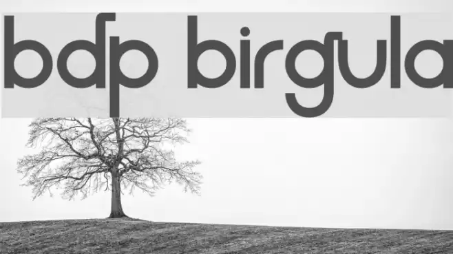 BDP Birgula  examples