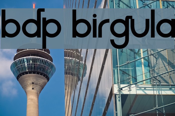 BDP Birgula Font examples
