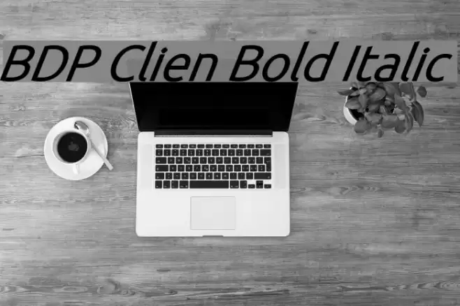 BDP Clien Bold Italic Font examples