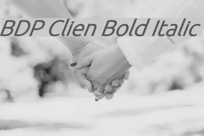 BDP Clien Bold Italic Font examples