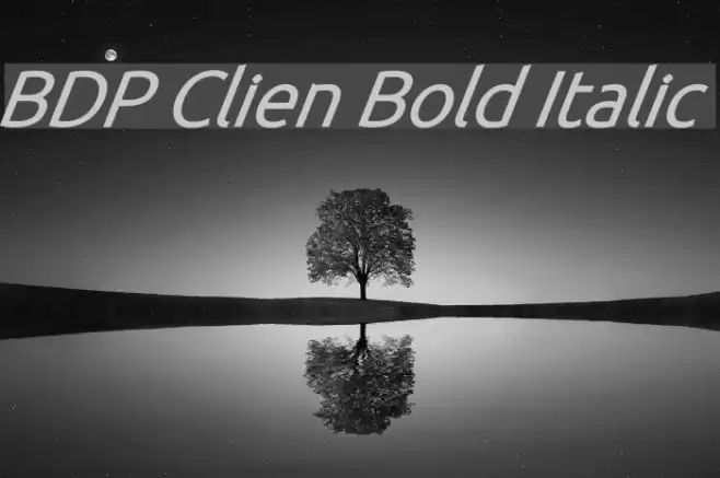 BDP Clien Bold Italic Font examples