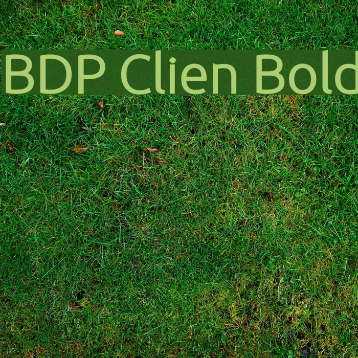 BDP Clien Bold Font examples