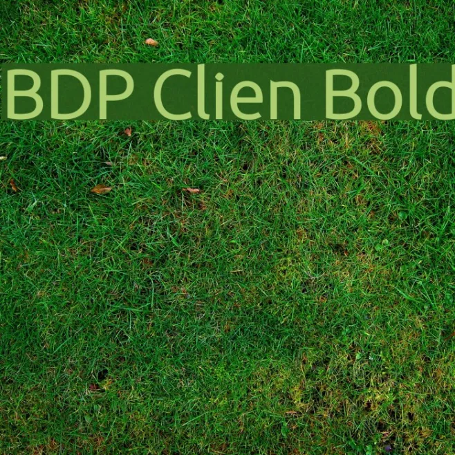BDP Clien Bold Example 1