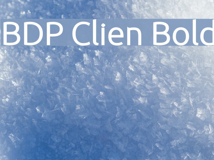 BDP Clien Bold Font examples