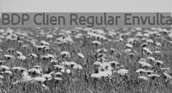 BDP Clien Regular Envulta Font examples