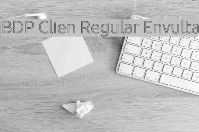 BDP Clien Regular Envulta Font examples