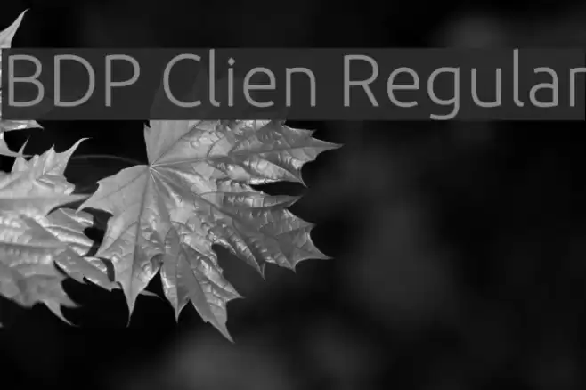 BDP Clien Regular Font examples