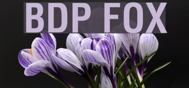 BDP FOX Example 3