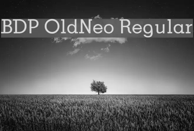 BDP OldNeo Regular Font examples