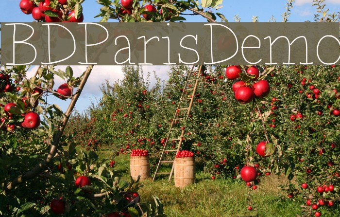 BDParisDemo Example 2