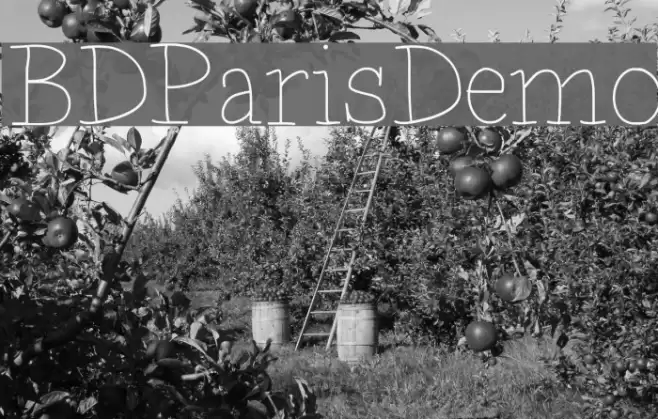 BDParisDemo Font examples