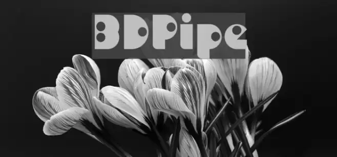 BDPipe Font examples