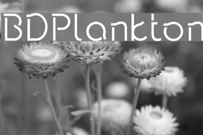 BDPlankton Font examples