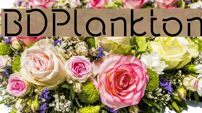 BDPlankton Example 2