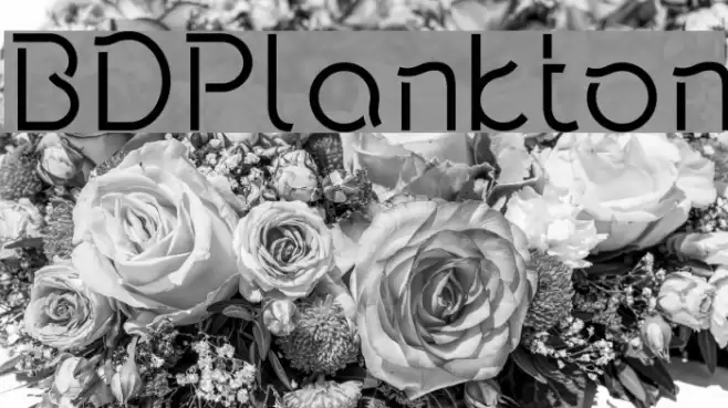BDPlankton Font examples