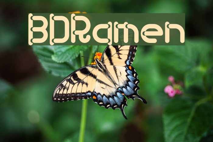 BDRamen Font examples