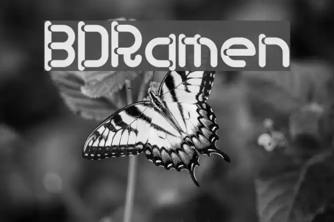 BDRamen フォント examples