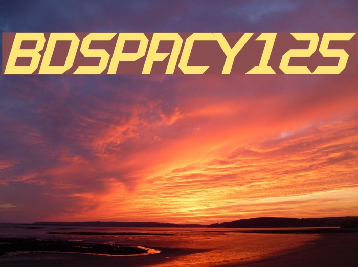 BDSPACY125 Example 1