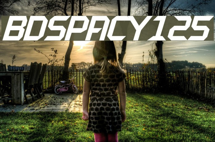 BDSPACY125 Example 2