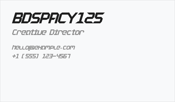 BDSPACY125 Business Card