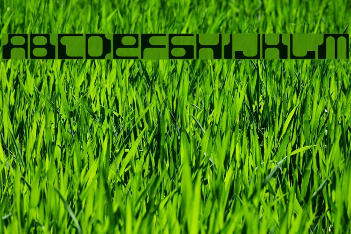 BDStereotype Example 1