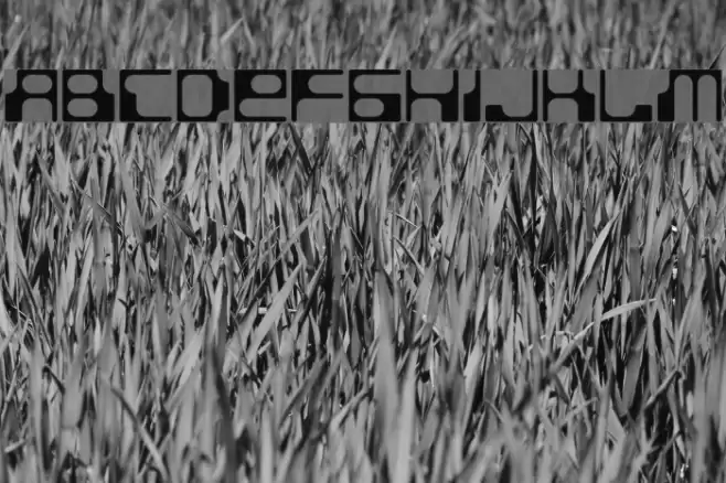 BDStereotype Font examples