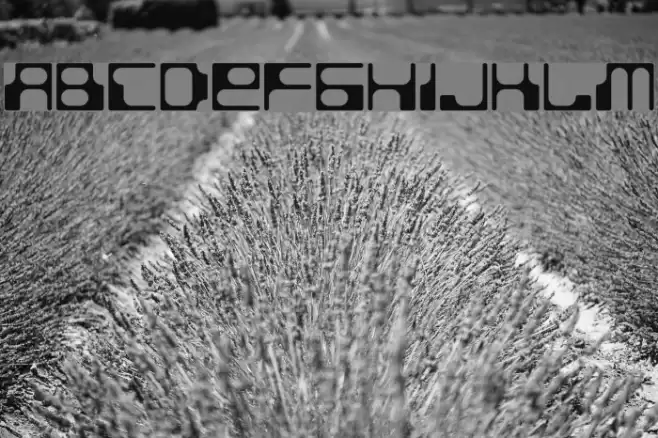 BDStereotype Font examples