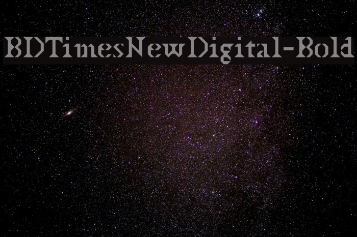 BDTimesNewDigital-Bold Font examples