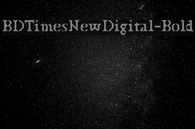 BDTimesNewDigital-Bold Font examples