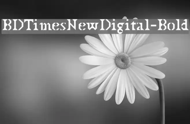 BDTimesNewDigital-Bold Font examples
