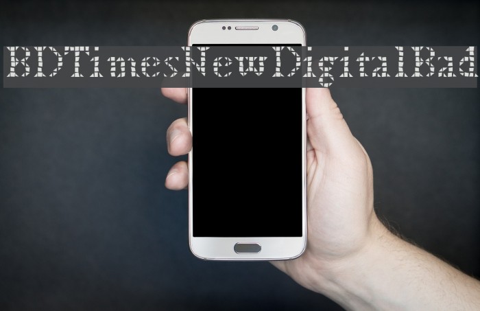 BDTimesNewDigitalBad フォント examples