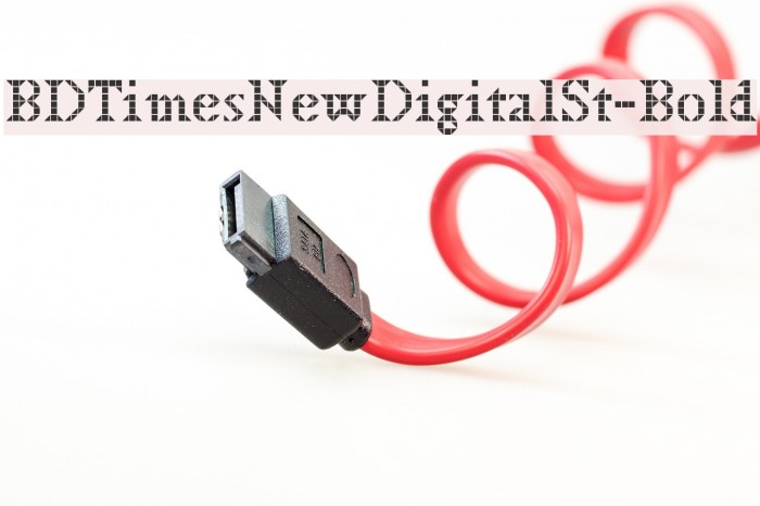 BDTimesNewDigitalSt-Bold फ़ॉन्ट examples