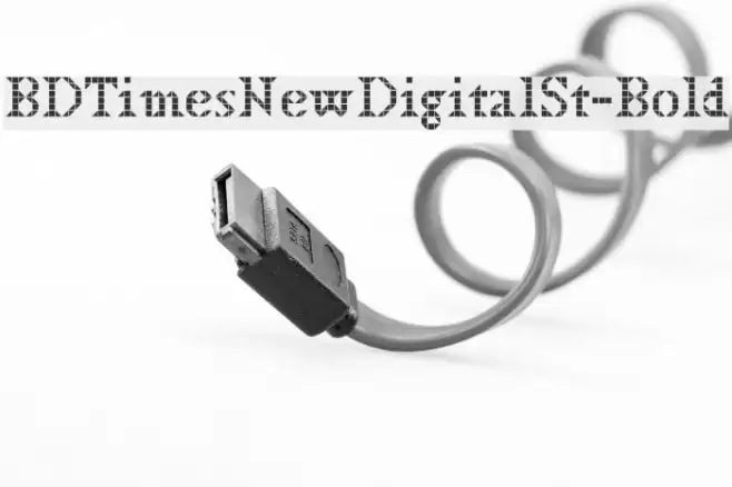 BDTimesNewDigitalSt-Bold फ़ॉन्ट examples