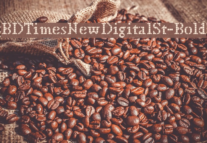 BDTimesNewDigitalSt-Bold फ़ॉन्ट examples