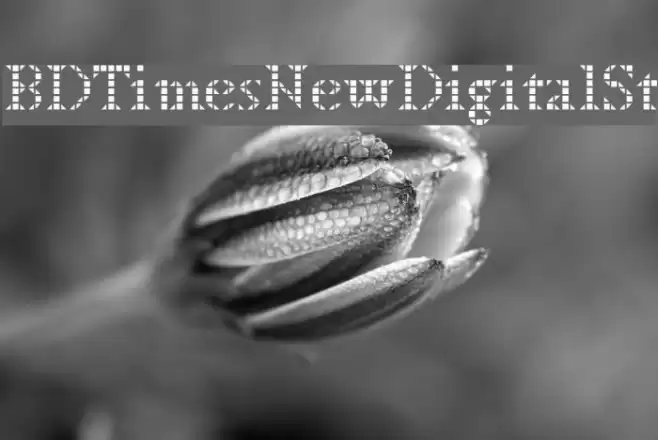 BDTimesNewDigitalSt Font examples
