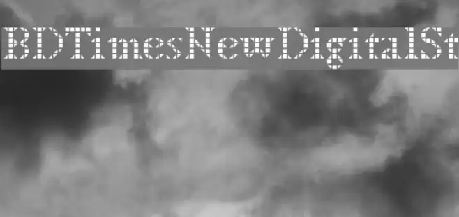 BDTimesNewDigitalSt Font examples