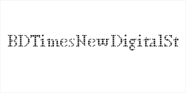 BDTimesNewDigitalSt Logo