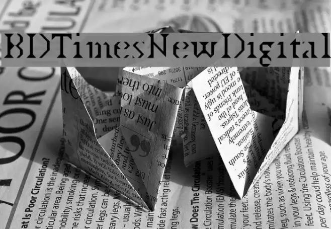 BDTimesNewDigital Font examples